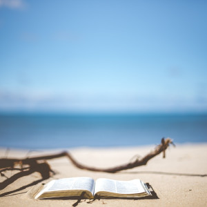 beach-1866992_1280
